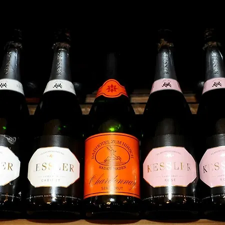 ヘリオパーク バート ツム ヒルシュ 4*