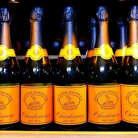 ヘリオパーク バート ツム ヒルシュ ホテル 4*