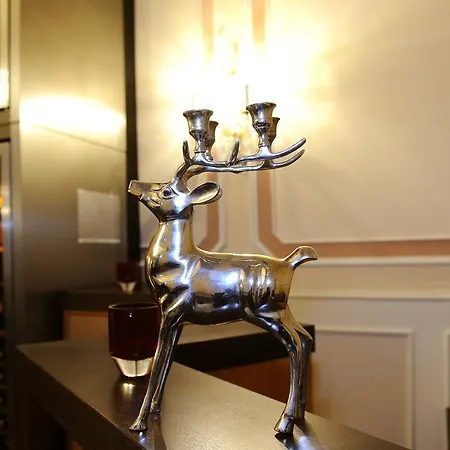 ホテル ヘリオパーク バート ツム ヒルシュ 4*