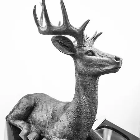 호텔 헬리오파크 바드 줌 히르슈 4*