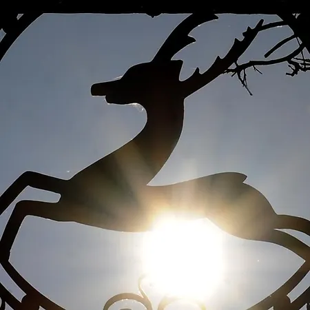 Heliopark Bad Zum Hirsch