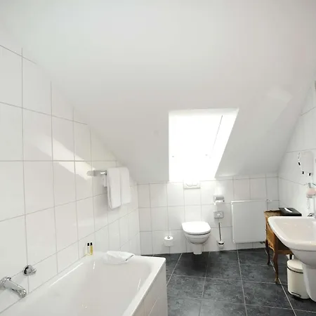 Heliopark Bad Zum Hirsch 4* Baden-Baden