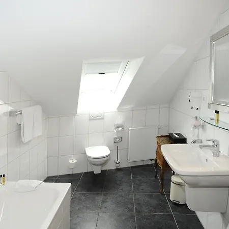 Heliopark Bad Zum Hirsch Hotel Baden-Baden