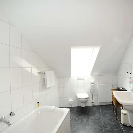 Hotel Heliopark Bad Zum Hirsch