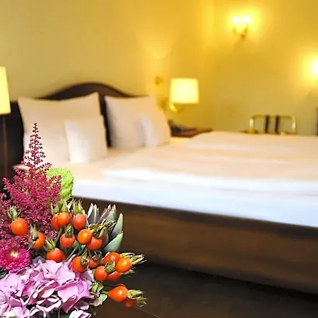 Heliopark Bad Zum Hirsch Hotel