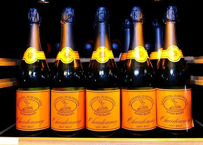 Heliopark Bad Zum Hirsch Hotel 4*