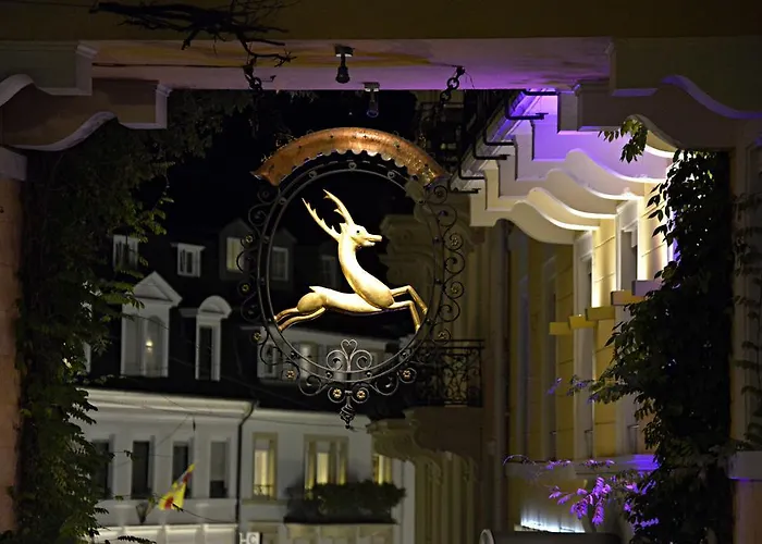 Hotel Heliopark Bad Zum Hirsch 4*