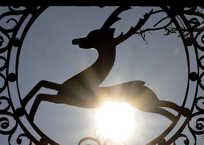 Heliopark Bad Zum Hirsch