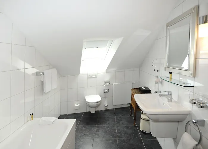 Heliopark Bad Zum Hirsch Hotel Baden-Baden